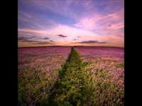 pochette album Colors of the heart