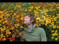 pochette album Love will find you