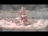 pochette album Everything takes forever