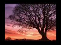 pochette album Dark water & stars