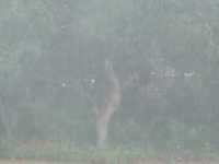 pochette album Drowning