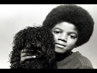 pochette album The wall