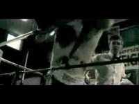 pochette album Fell into