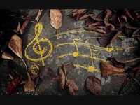 pochette album Wake up