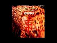 pochette album Díme jaguar