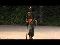 pochette album Journey