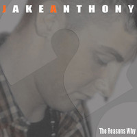 pochette album The reasons why