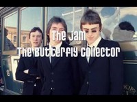 pochette album The butterfly collector