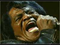 pochette album I love you, yes i do