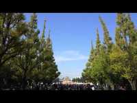 pochette album Memphis