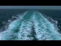 pochette album Sea cruise