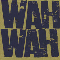 pochette album Building a fire