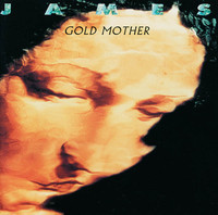 pochette album Gold mother