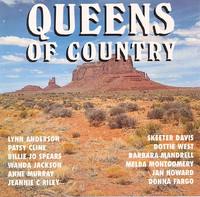 pochette album I wish i could fall in love again