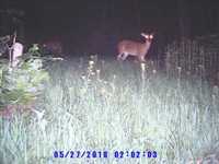 pochette album Cave in on you