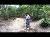 pochette album Comme dans une chanson d anne sylvestre