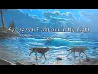 pochette album Run in the night