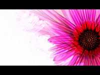 pochette album Super swag