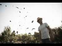 pochette album Better