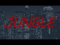 pochette album Jungle remix