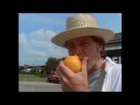 pochette album Settled down like rain