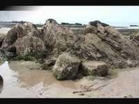 pochette album La mer et l'océan