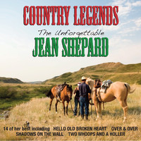 pochette album It's hard to tell the married from the free