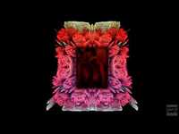 pochette album Let it go