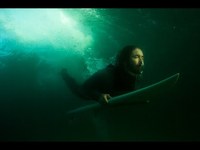 pochette album Down south