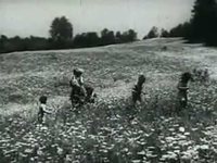 pochette album Sugaree