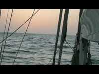 pochette album Main title/locutus