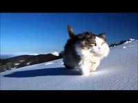 pochette album That old time feeling