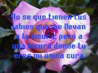 pochette album Tu primera vez