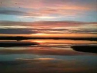 pochette album Birds over water