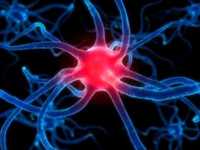 pochette album Move me