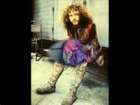 pochette album Crash-barrier waltzer