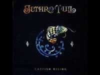 pochette album White innocence