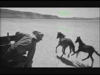 pochette album Gentle on my mind