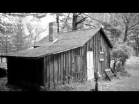 pochette album Love of the common people