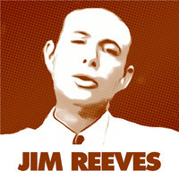 pochette album Adios amigo