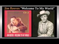 pochette album I can't fly