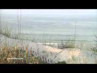 pochette album A salty piece of land