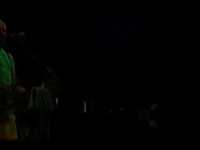 pochette album Werewolves of london