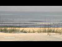 pochette album Wondering where the lions are