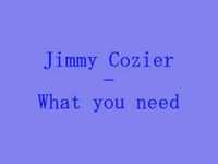 pochette album What you need