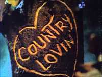 pochette album True love's a blessing