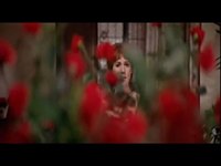 pochette album A dream gone wrong