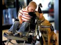 pochette album I'm a survivor