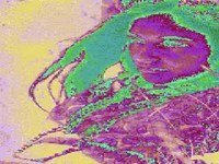 pochette album North