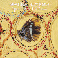 pochette album Sprout and the bean